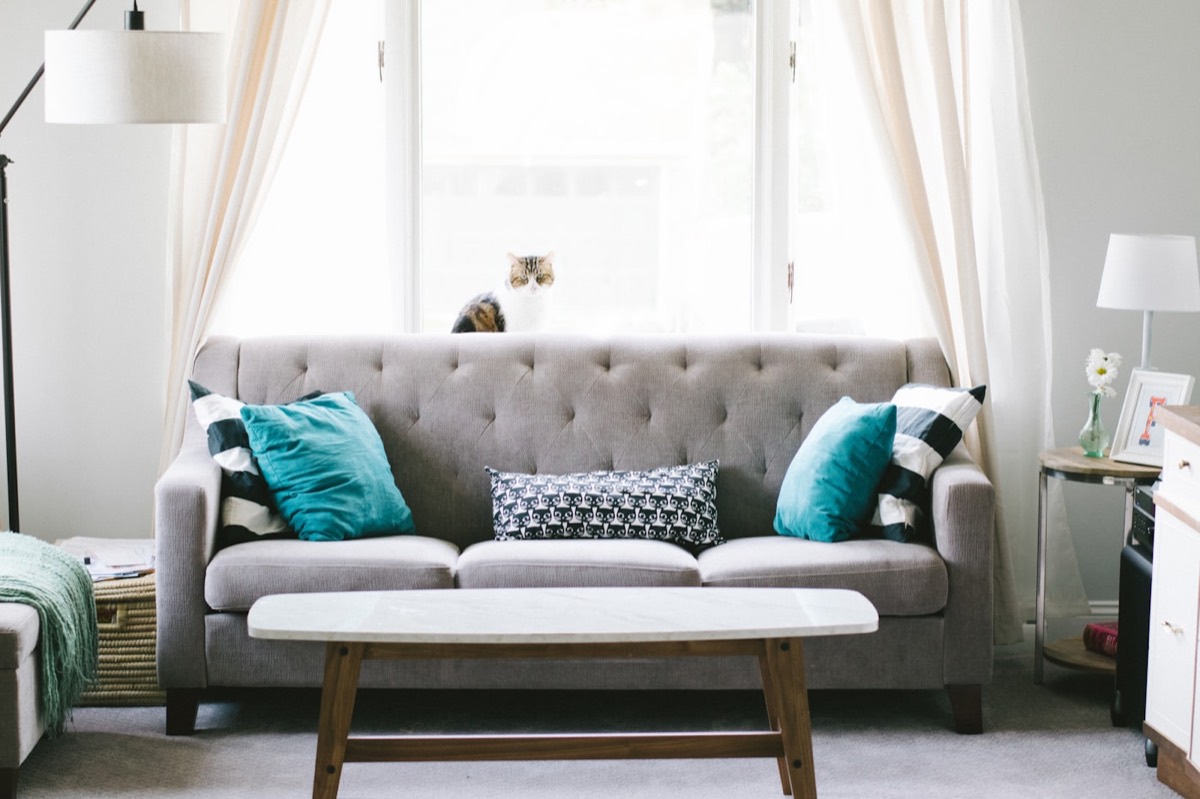Decorative Accessories